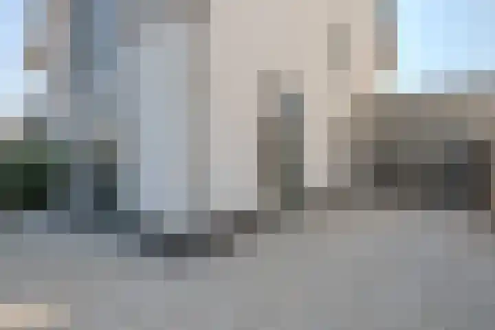 Allium 5 Voorhout thumbnail 49