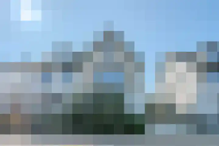 Allium 5 Voorhout thumbnail 52