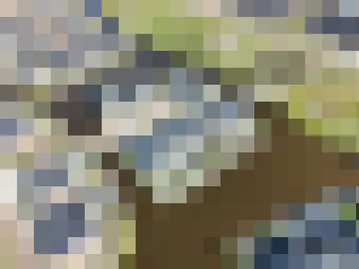 Allium 5 Voorhout thumbnail 55