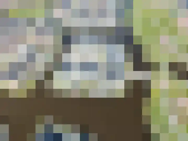 Allium 5 Voorhout thumbnail 56