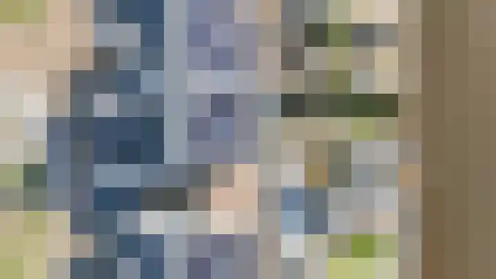 Allium 5 Voorhout thumbnail 59