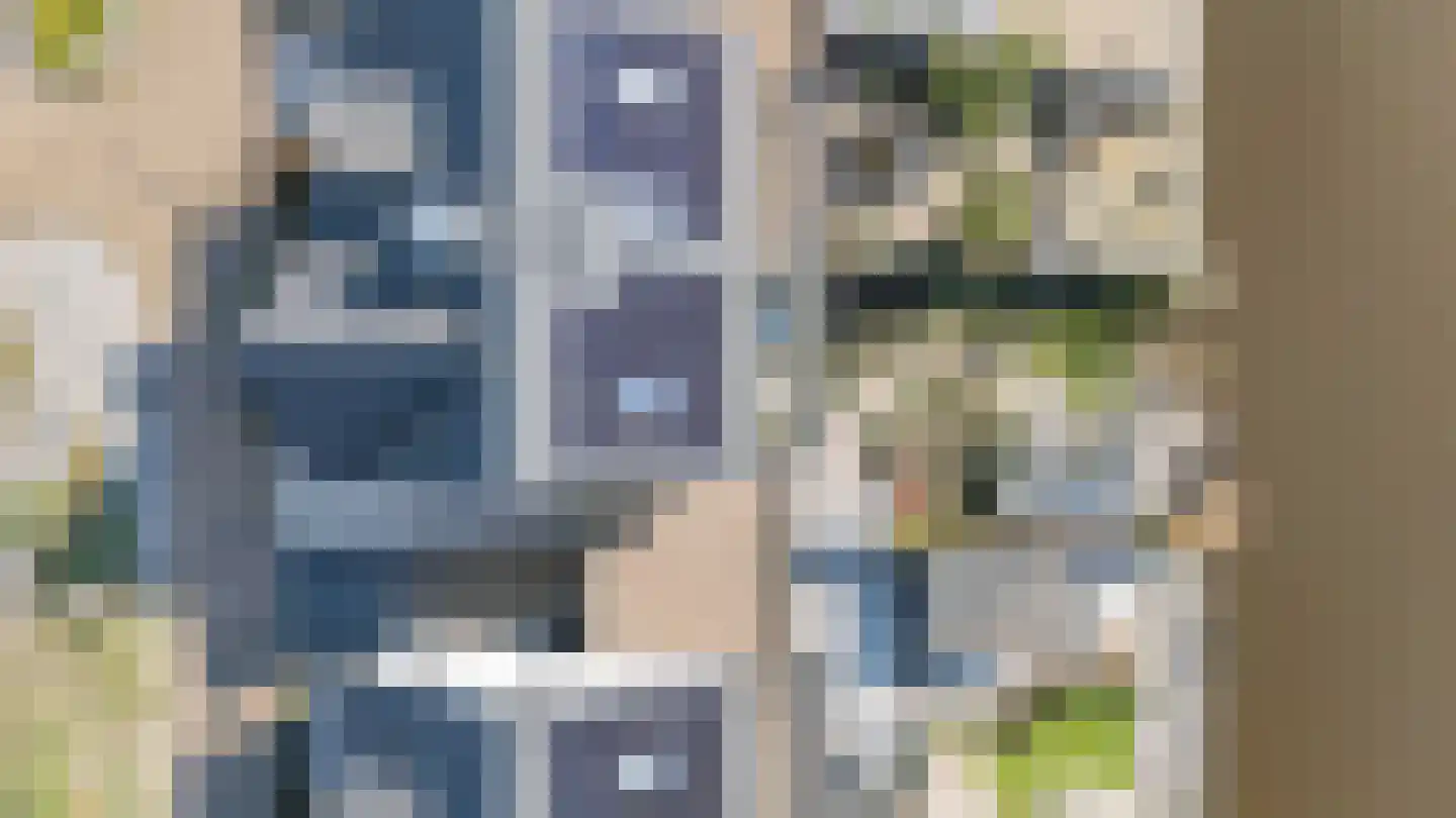 Allium 5 Voorhout thumbnail 59