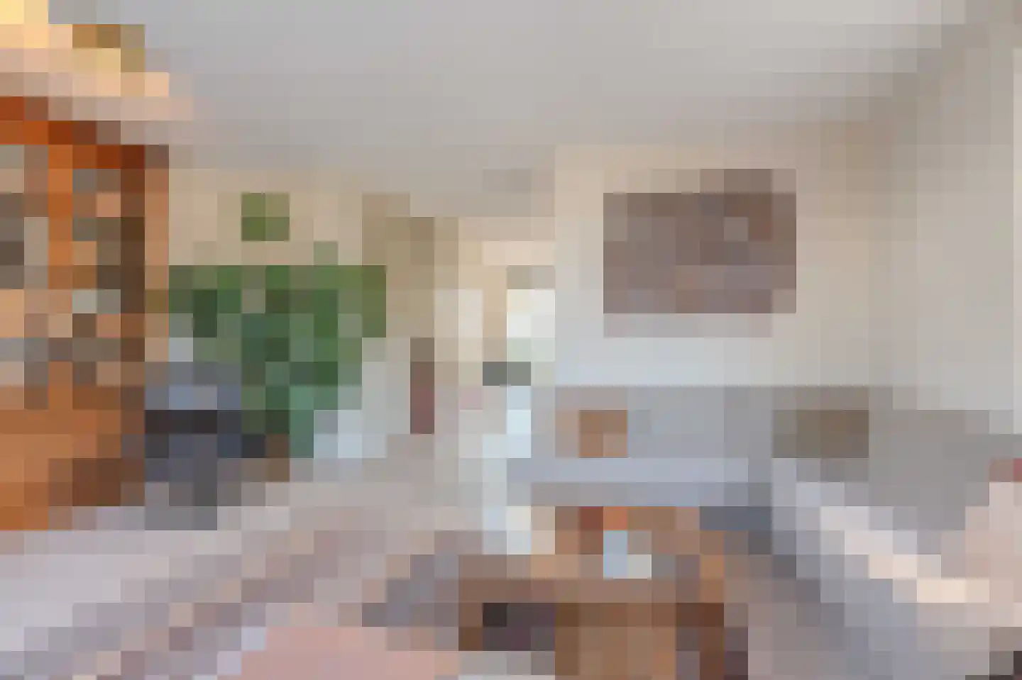 Allium 5 Voorhout thumbnail 6
