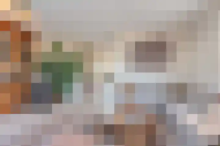 Allium 5 Voorhout thumbnail 6