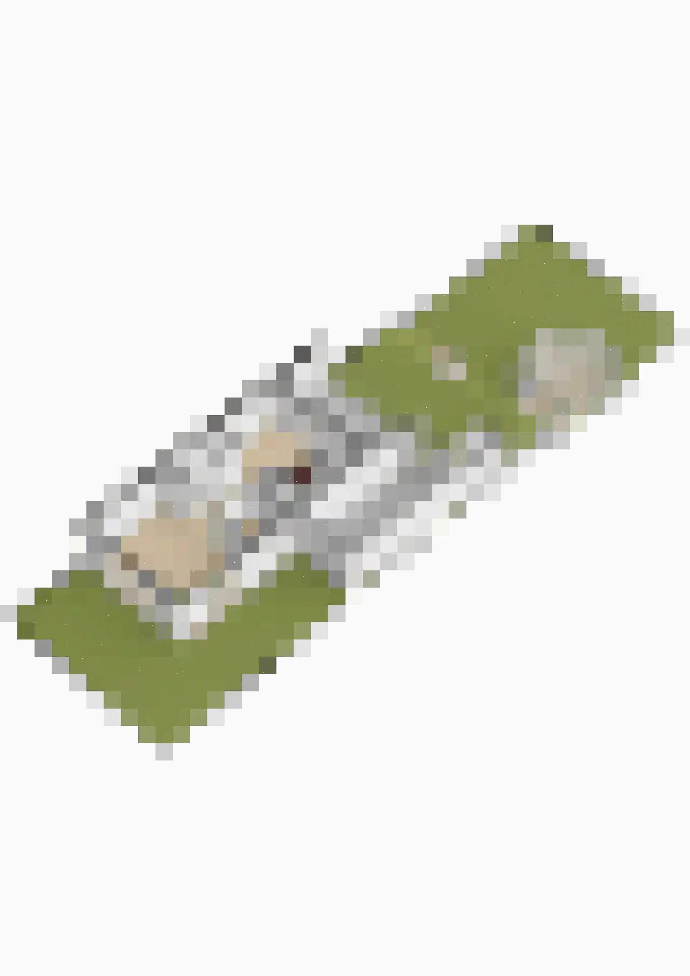 Allium 5 Voorhout thumbnail 65