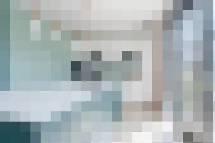 Allium 8 Voorhout thumbnail 12