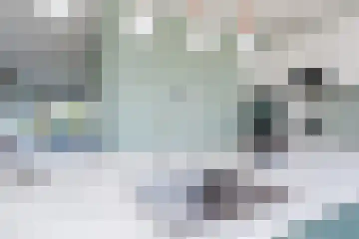 Allium 8 Voorhout thumbnail 13