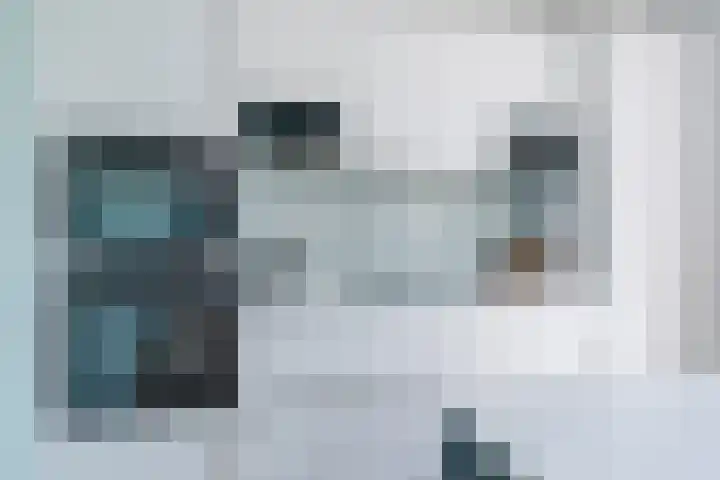 Allium 8 Voorhout thumbnail 15