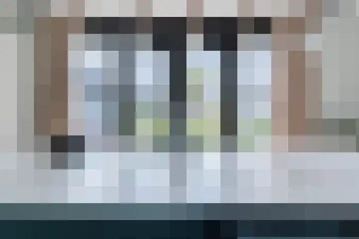 Allium 8 Voorhout thumbnail 16