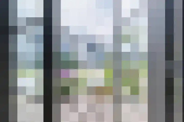 Allium 8 Voorhout thumbnail 17