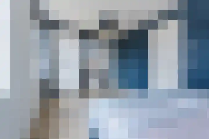 Allium 8 Voorhout thumbnail 22