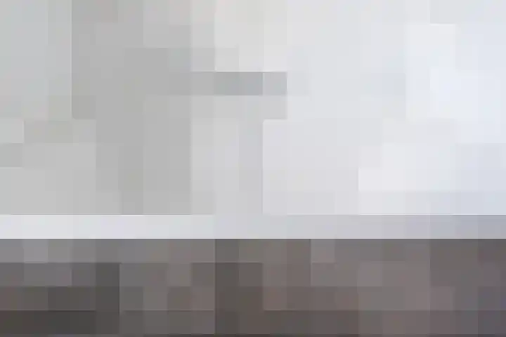Allium 8 Voorhout thumbnail 29