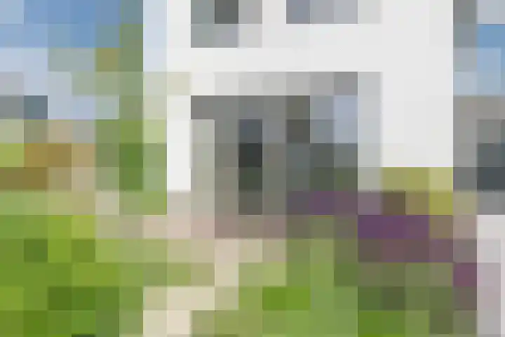 Allium 8 Voorhout foto 3