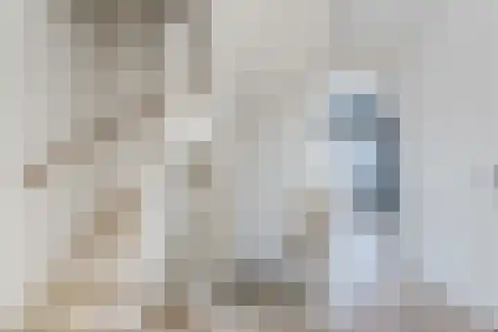 Allium 8 Voorhout thumbnail 31