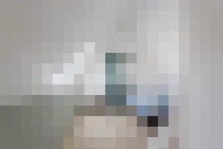 Allium 8 Voorhout thumbnail 33