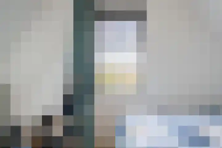Allium 8 Voorhout thumbnail 34