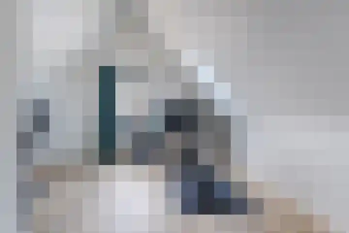 Allium 8 Voorhout thumbnail 37