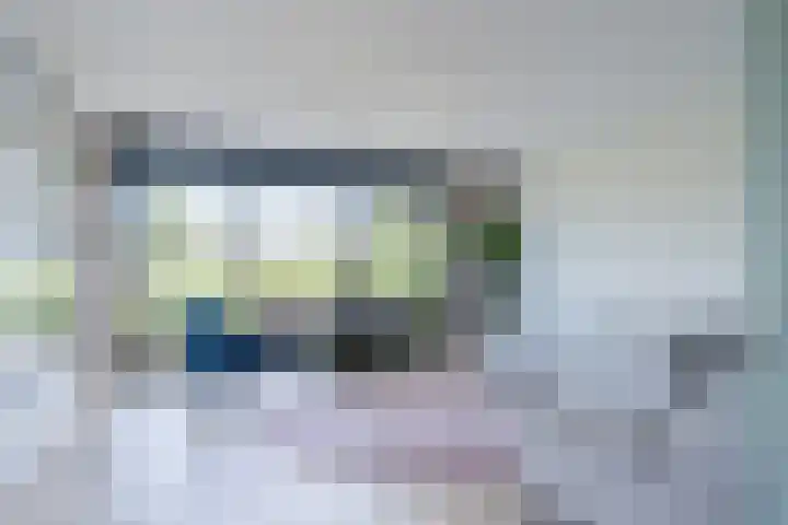 Allium 8 Voorhout thumbnail 4