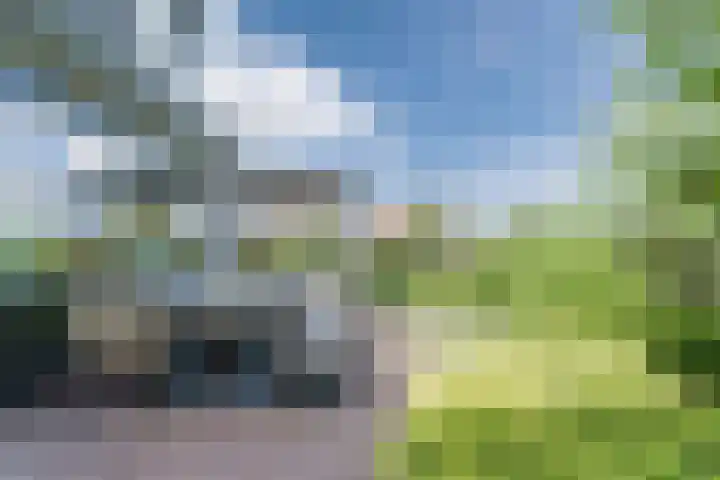 Allium 8 Voorhout thumbnail 46