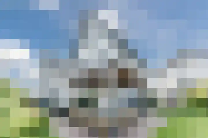 Allium 8 Voorhout thumbnail 48