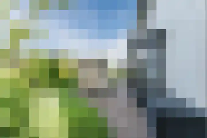 Allium 8 Voorhout thumbnail 50