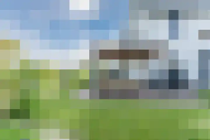 Allium 8 Voorhout thumbnail 51