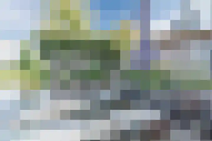 Allium 8 Voorhout thumbnail 53