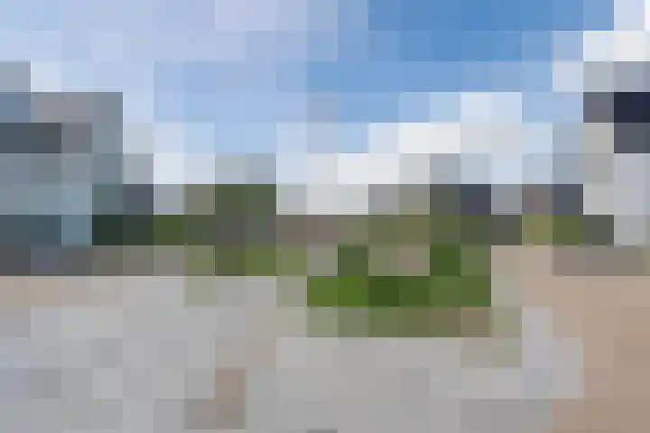 Allium 8 Voorhout thumbnail 56