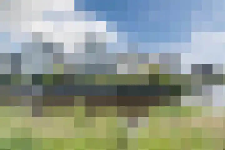 Allium 8 Voorhout thumbnail 58