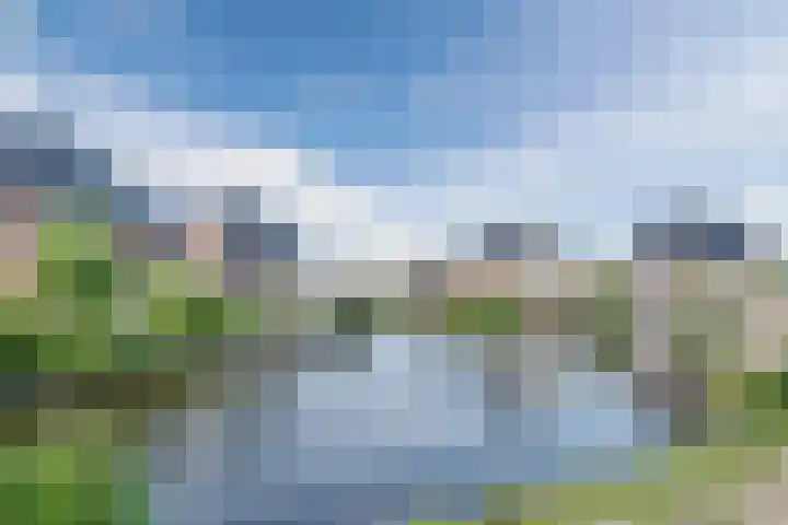 Allium 8 Voorhout thumbnail 59