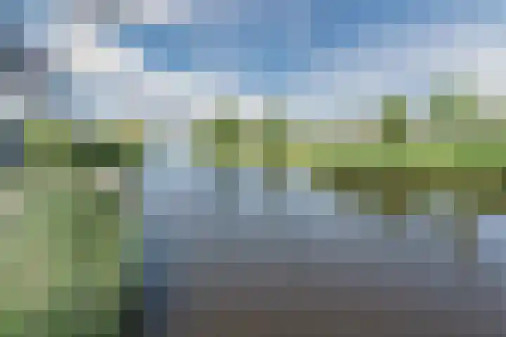 Allium 8 Voorhout thumbnail 60