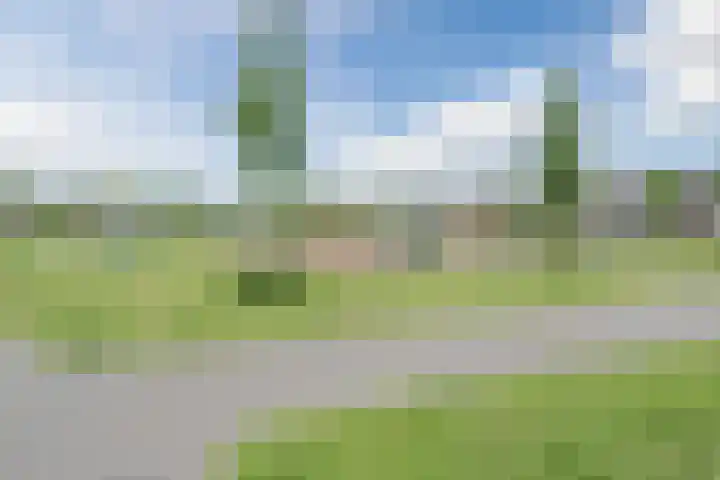 Allium 8 Voorhout thumbnail 64