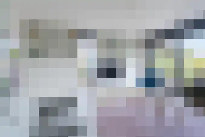 Allium 8 Voorhout thumbnail 7