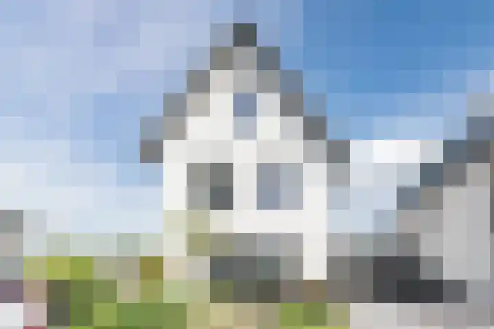 Allium 8 Voorhout thumbnail 70