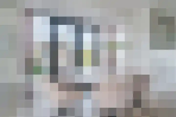 Allium 8 Voorhout thumbnail 9