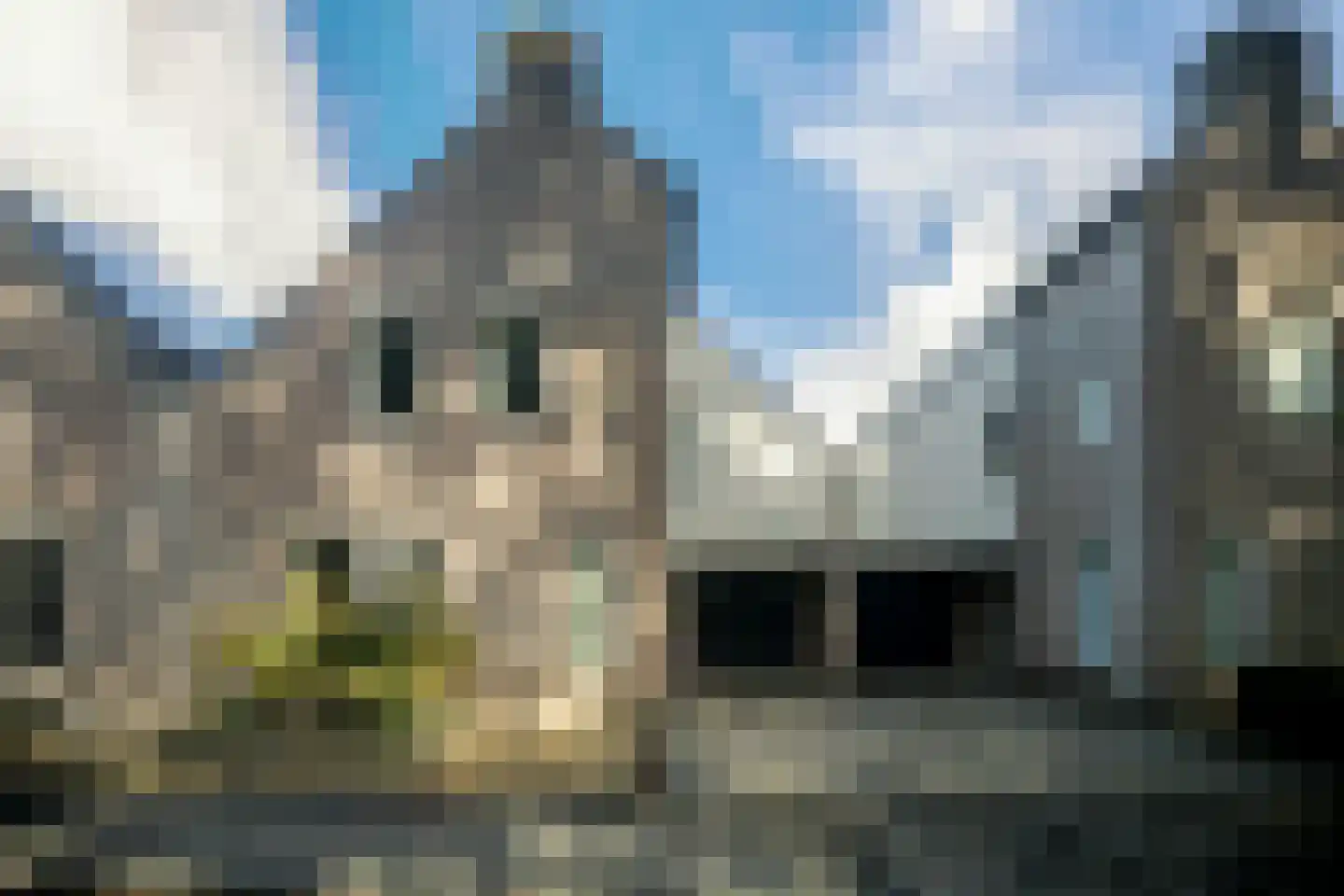 Alm 10 Kaatsheuvel