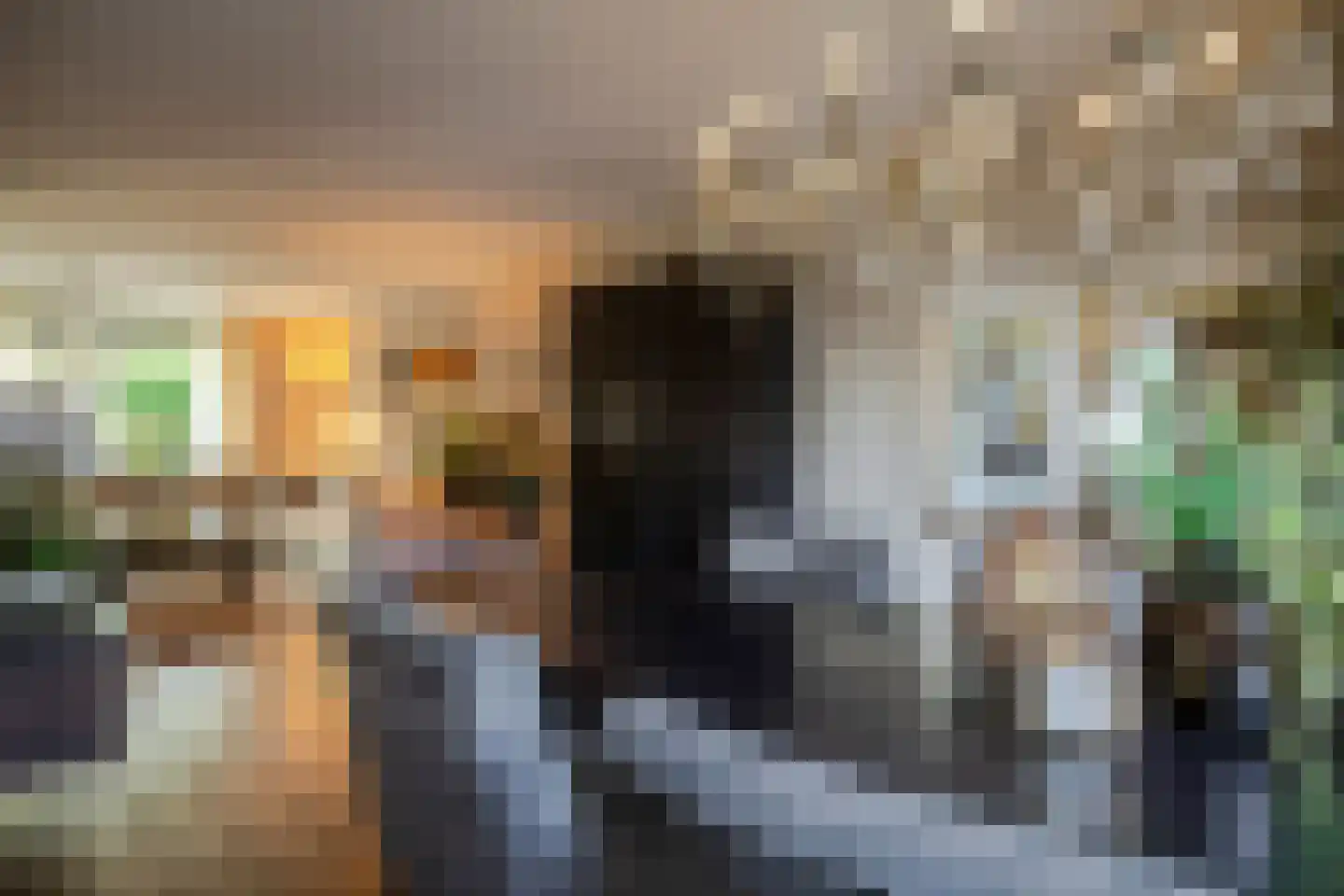 Alm 10 Kaatsheuvel thumbnail 11