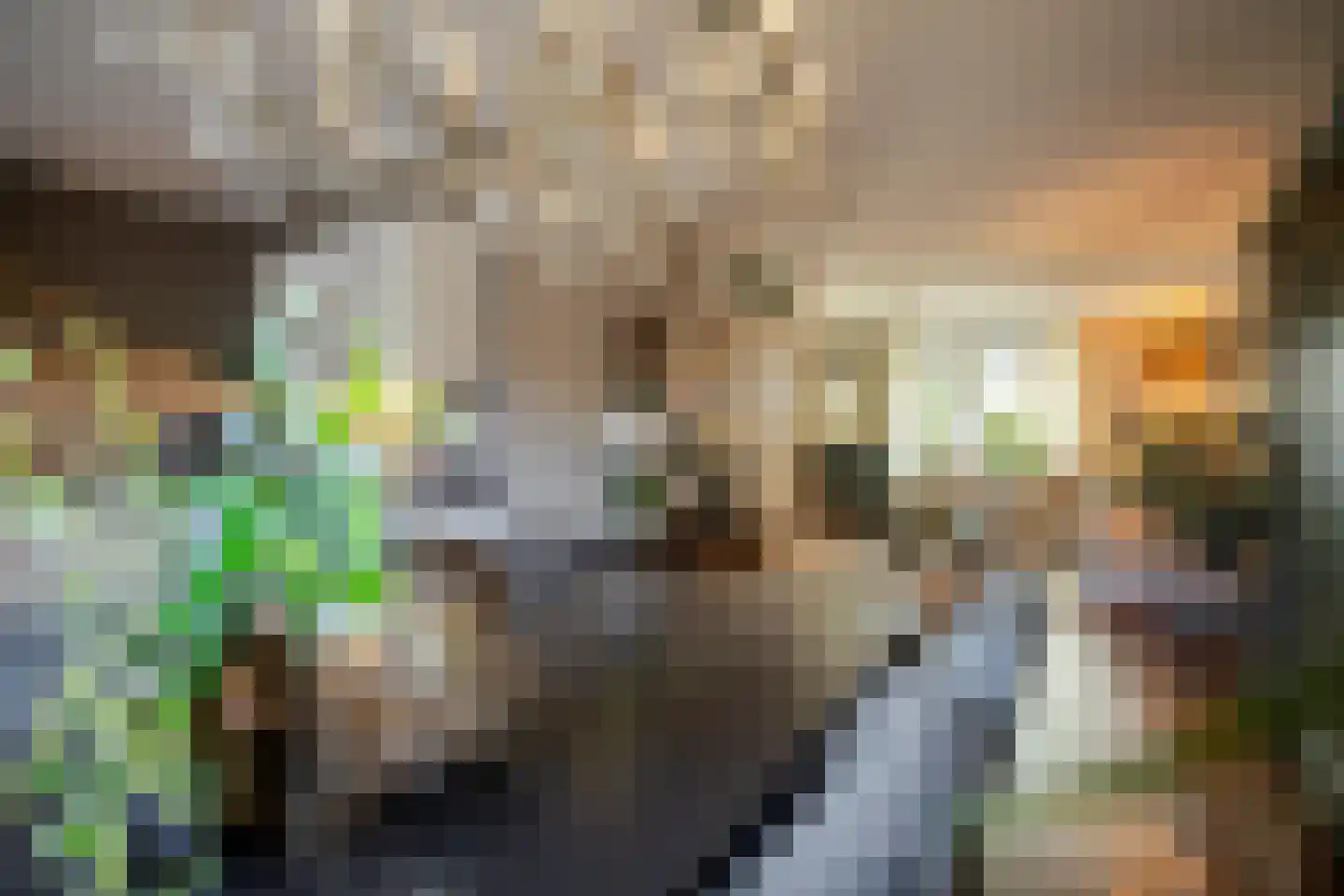 Alm 10 Kaatsheuvel thumbnail 12