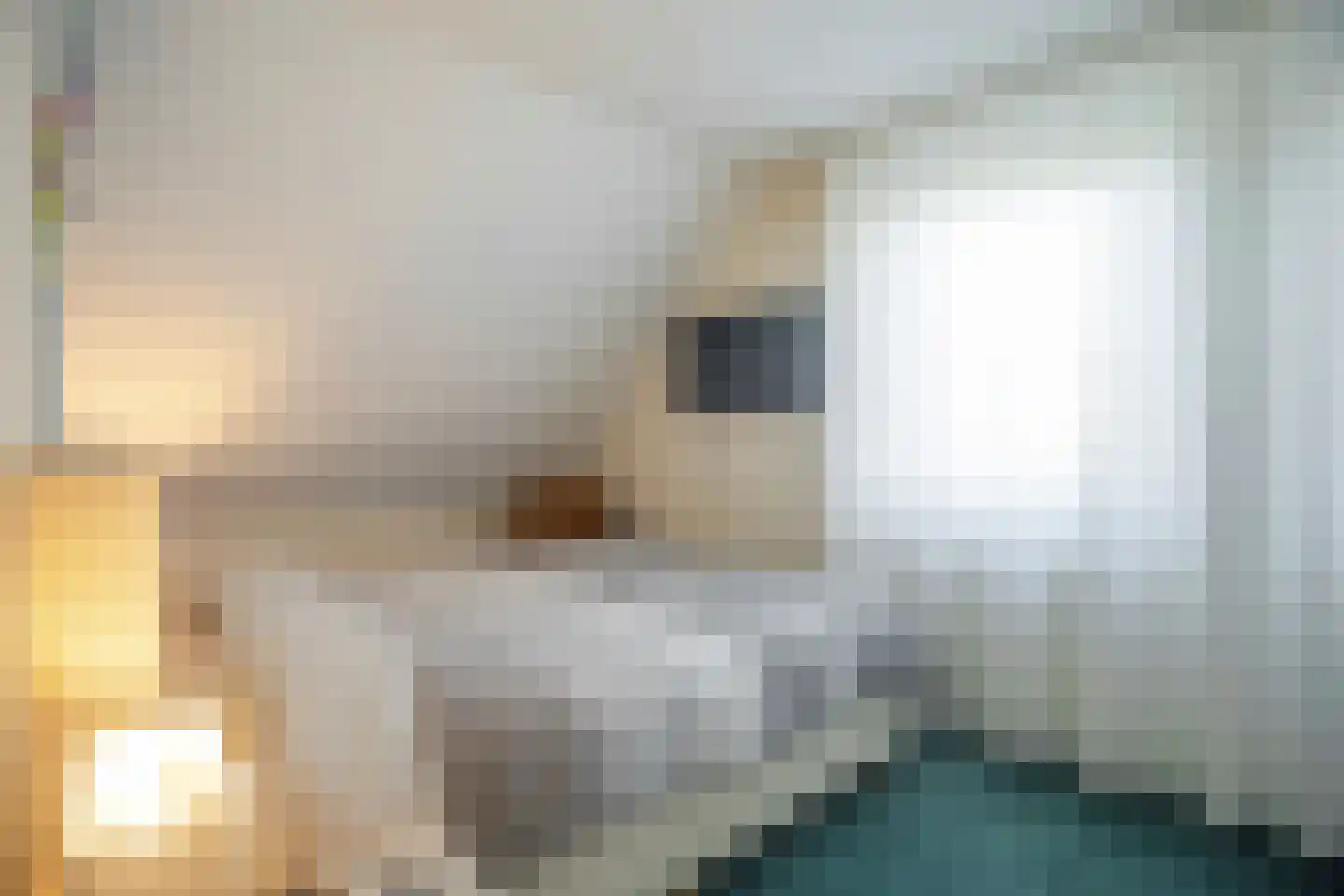 Alm 10 Kaatsheuvel thumbnail 18