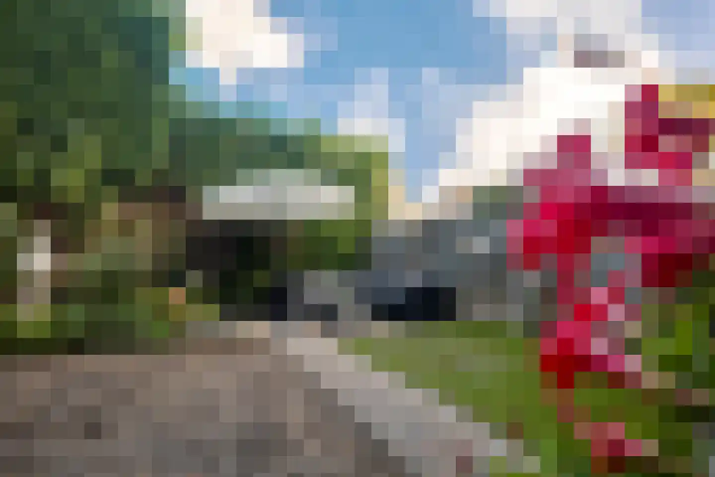 Alm 10 Kaatsheuvel thumbnail 29