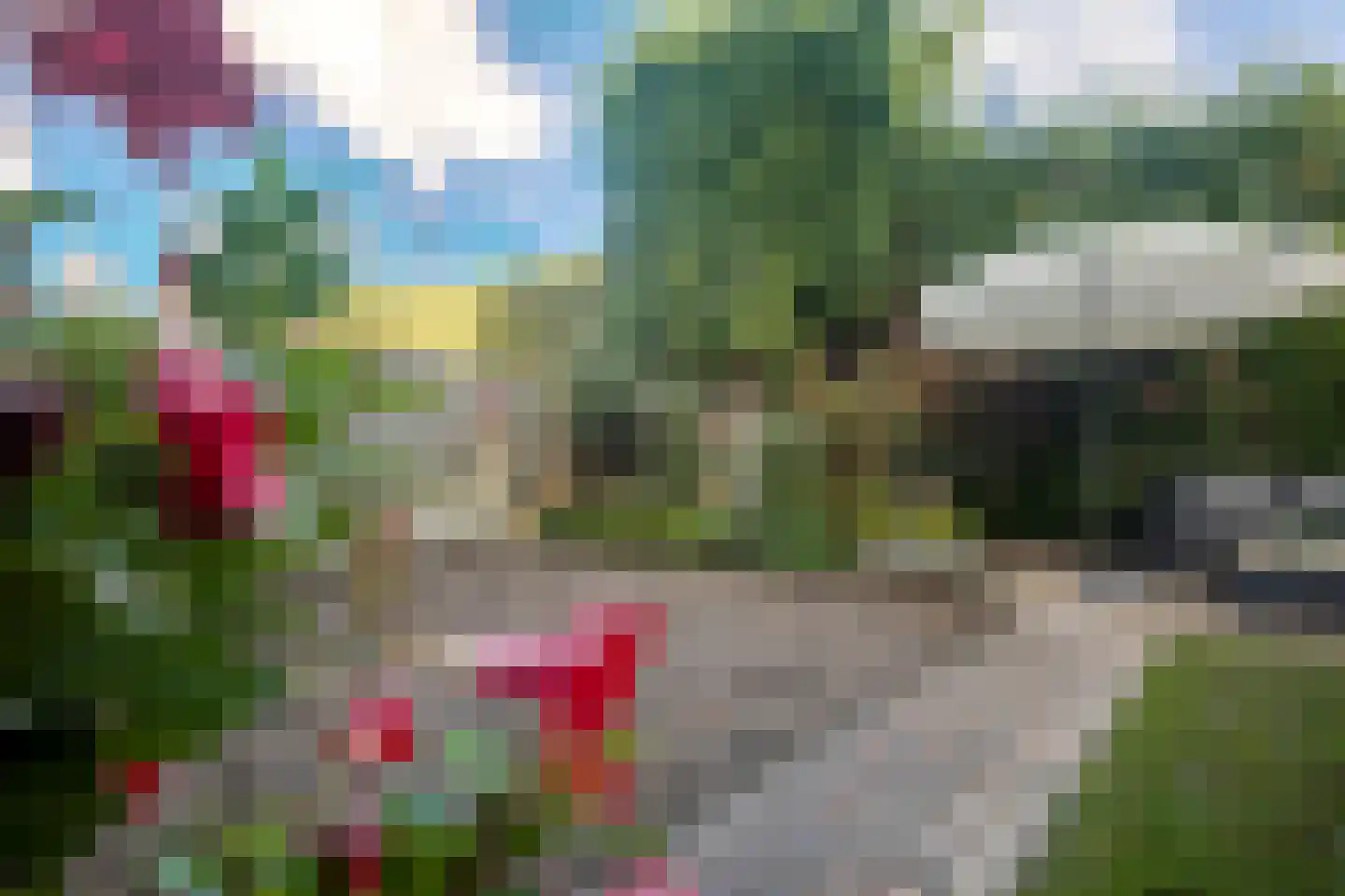 Alm 10 Kaatsheuvel thumbnail 30