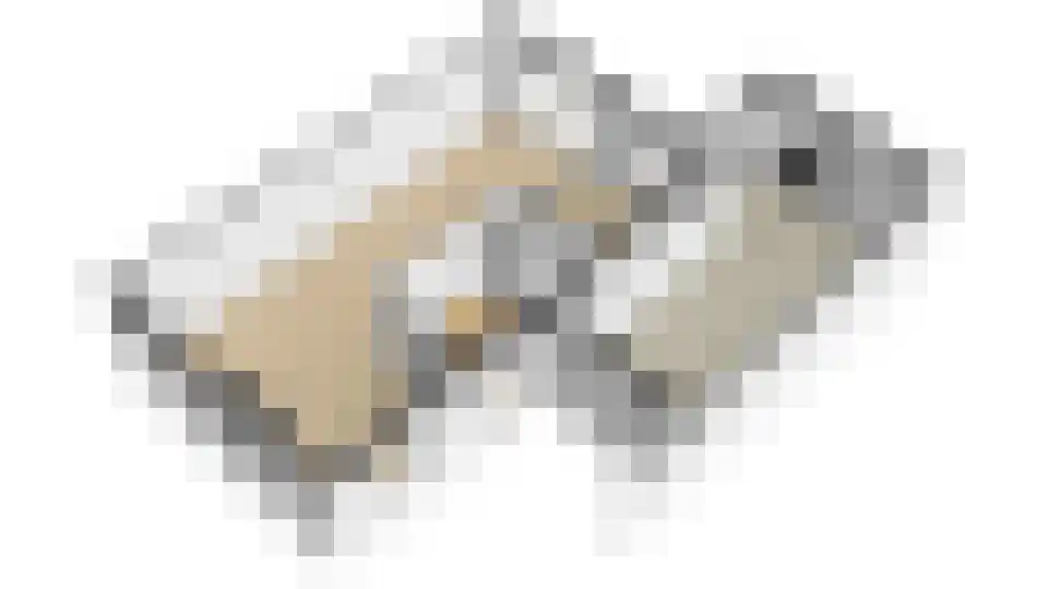 Alm 10 Kaatsheuvel thumbnail 45