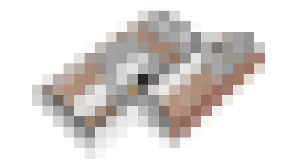 Alm 10 Kaatsheuvel thumbnail 47