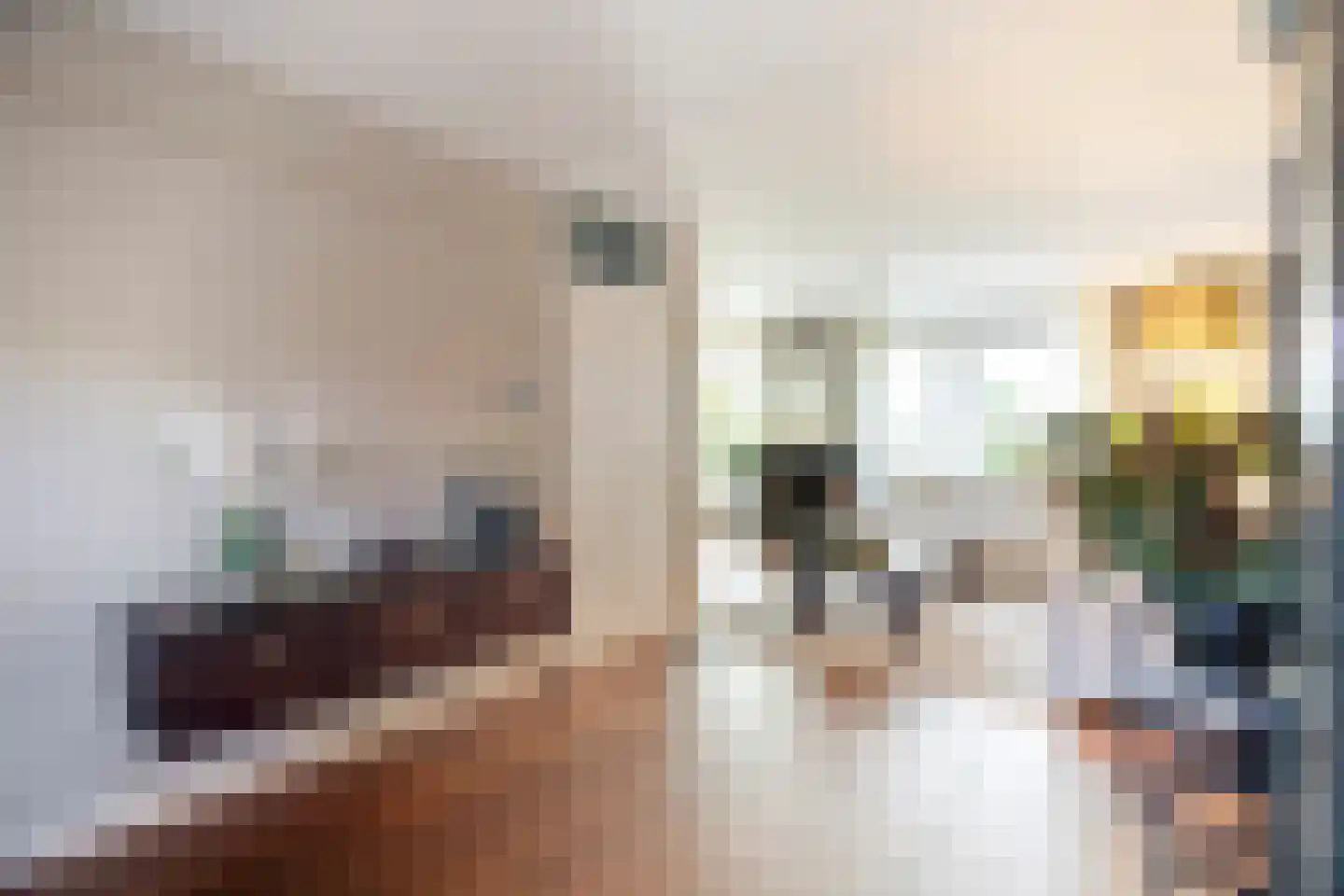 Alm 10 Kaatsheuvel thumbnail 8