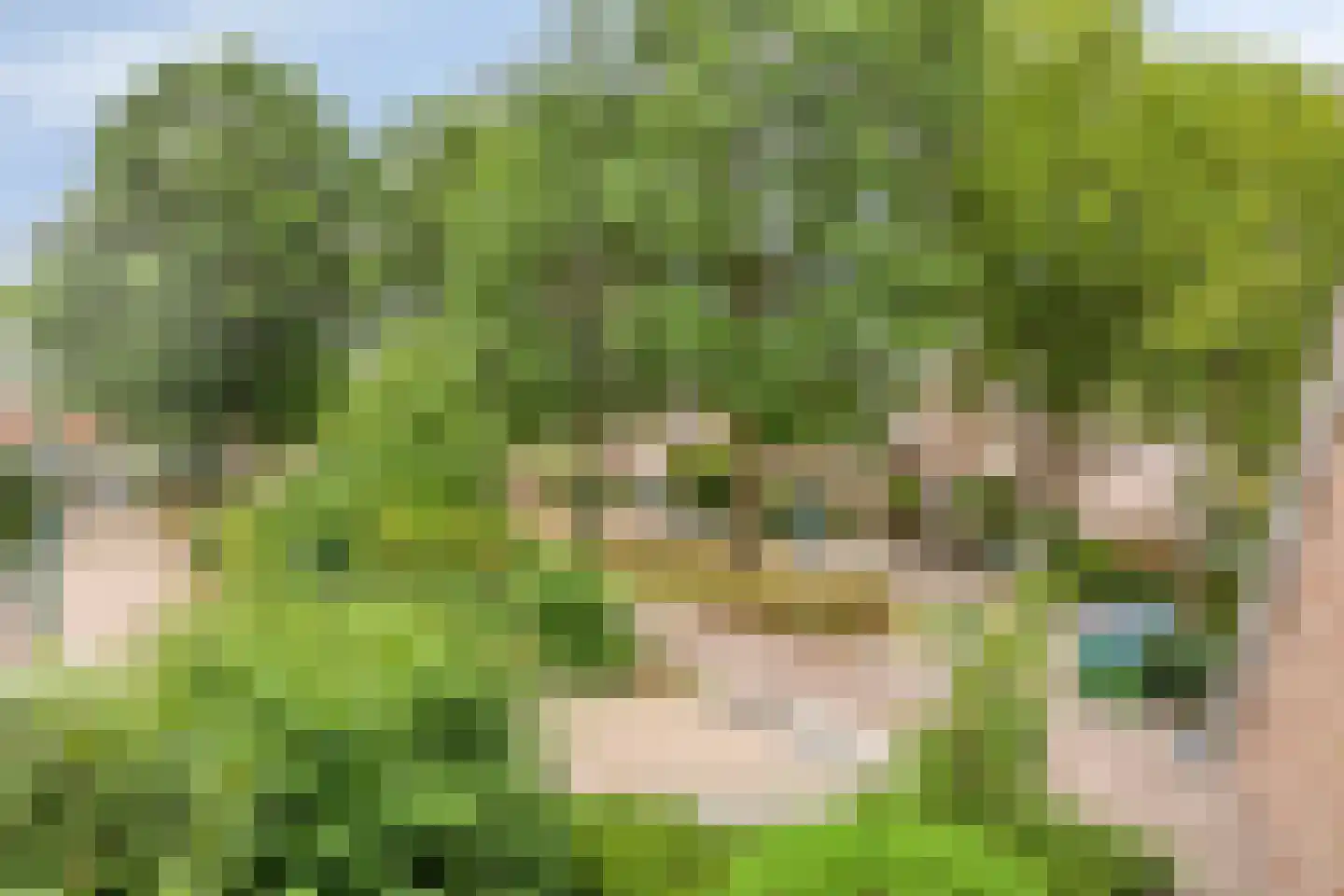 Alm 28 Kaatsheuvel thumbnail 19