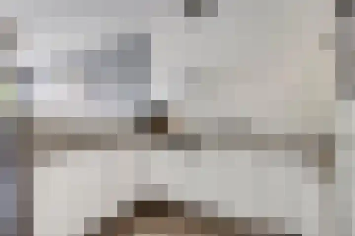Alm 30 Kaatsheuvel thumbnail 11