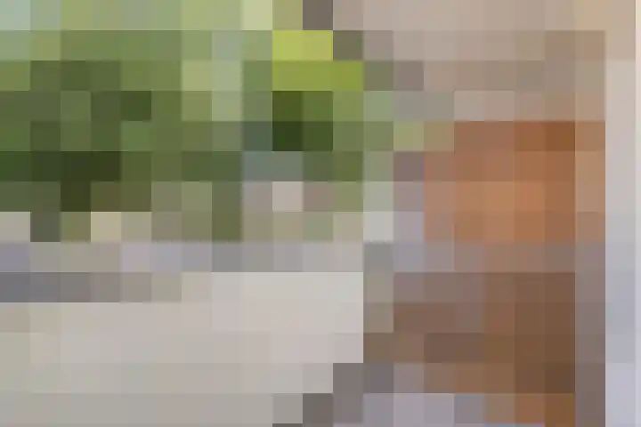 Alm 30 Kaatsheuvel thumbnail 13