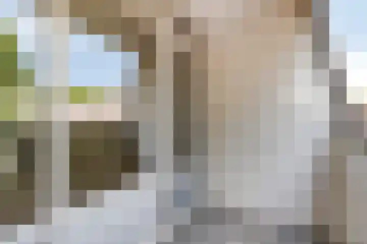 Alm 30 Kaatsheuvel thumbnail 14