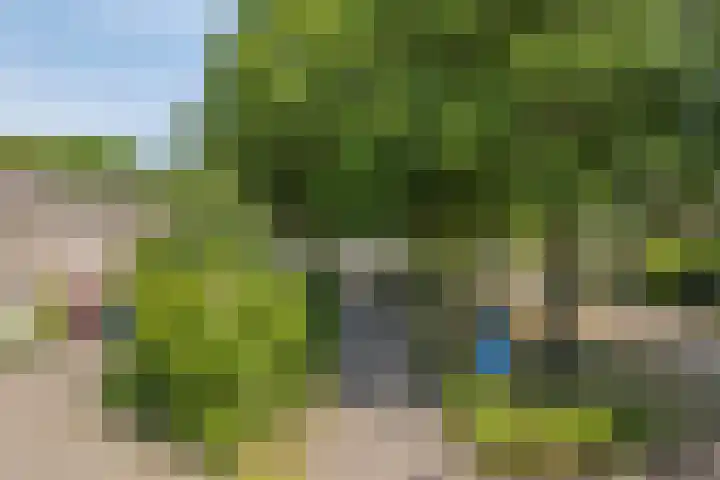 Alm 30 Kaatsheuvel thumbnail 24