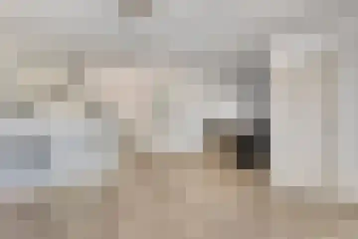 Alm 30 Kaatsheuvel thumbnail 8